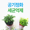 공기정화세균억제